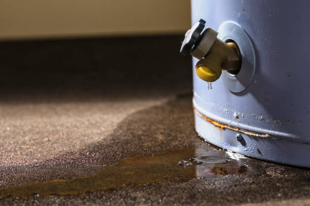 Best Sewage cleanup and water damage restoration  in Bay Shore, NY