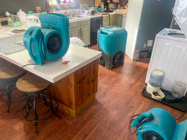 Best Ceiling water damage repair  in Bay Shore, NY