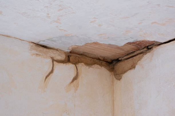 Best Professional water damage repair  in Bay Shore, NY