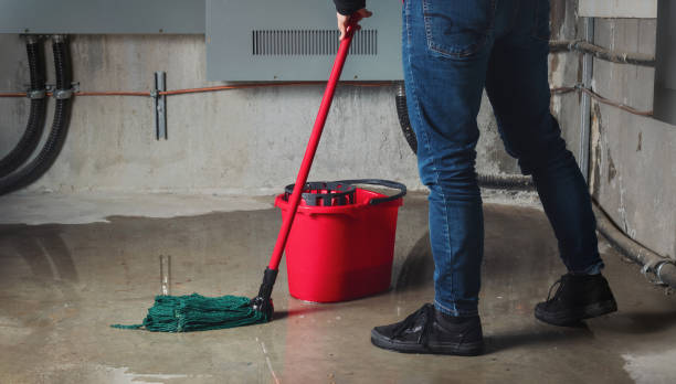 Best Water damage cleanup near me  in Bay Shore, NY