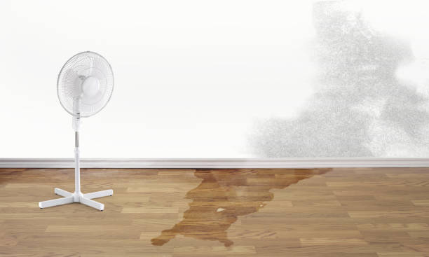 Best Sewage cleanup and water damage restoration  in Bay Shore, NY