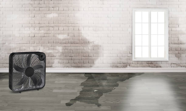 Best Emergency water damage restoration  in Bay Shore, NY