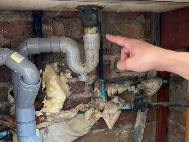 Best Carpet water damage restoration  in Bay Shore, NY
