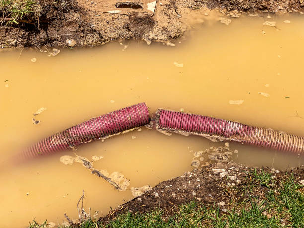 Best Residential water damage restoration  in Bay Shore, NY