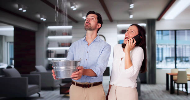  Bay Shore, NY Water damage restoration Pros