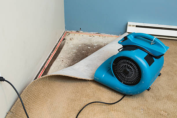 Best Water damage contractors near me  in Bay Shore, NY